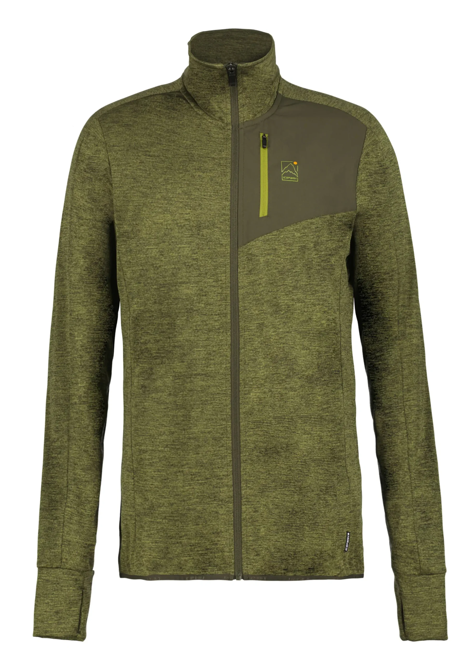 Online ICEPEAK anzanoa