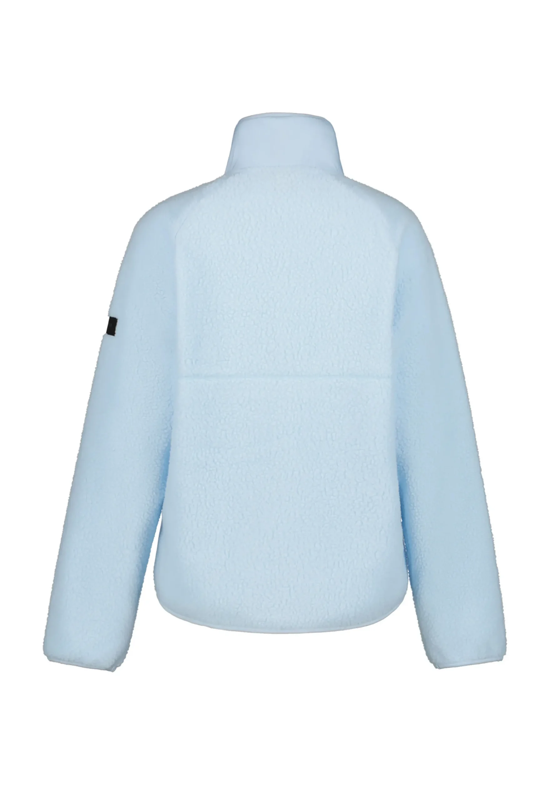 ICEPEAK auton