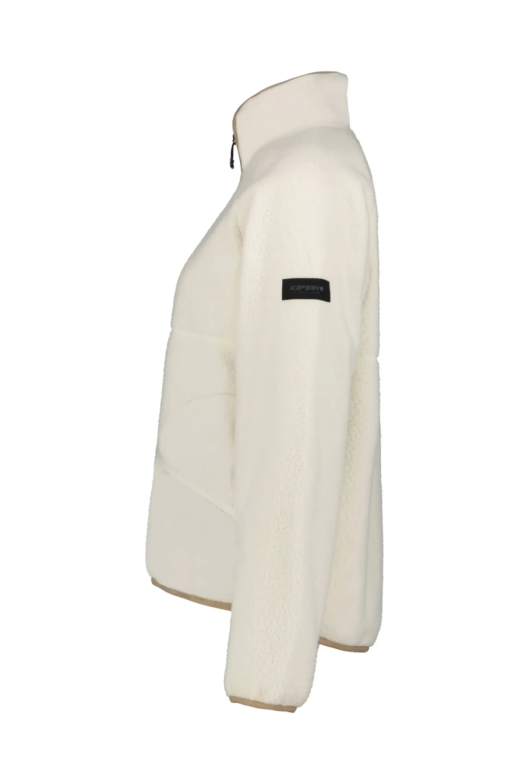 ICEPEAK auton
