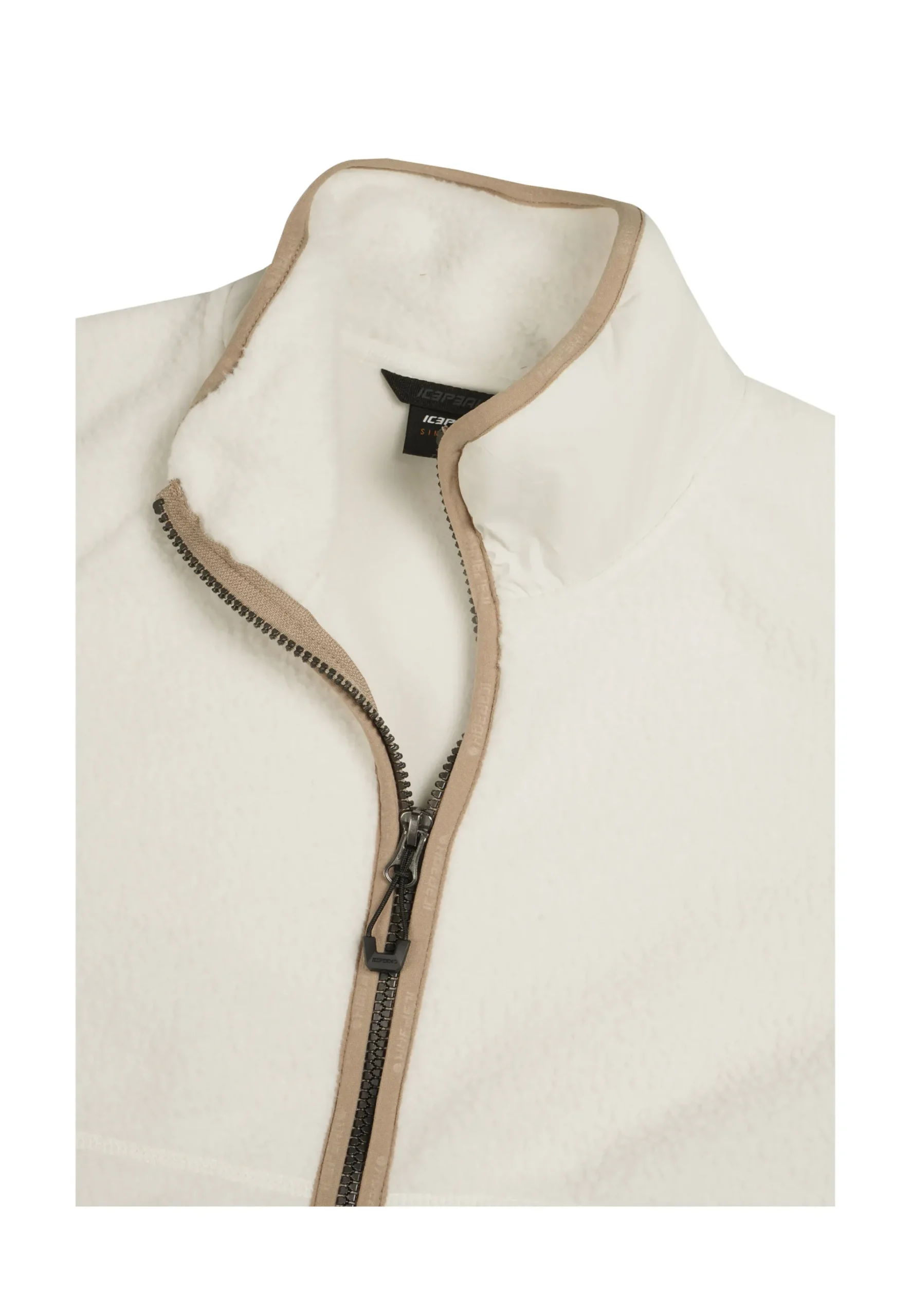 ICEPEAK auton