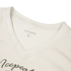Online ICEPEAK iddefied