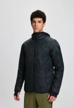 Online ICEPEAK Palmer