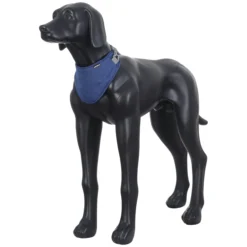 Best ICEPEAK PET Cooing carf