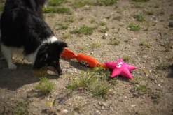Discount ICEPEAK PET Coral Floating Toy