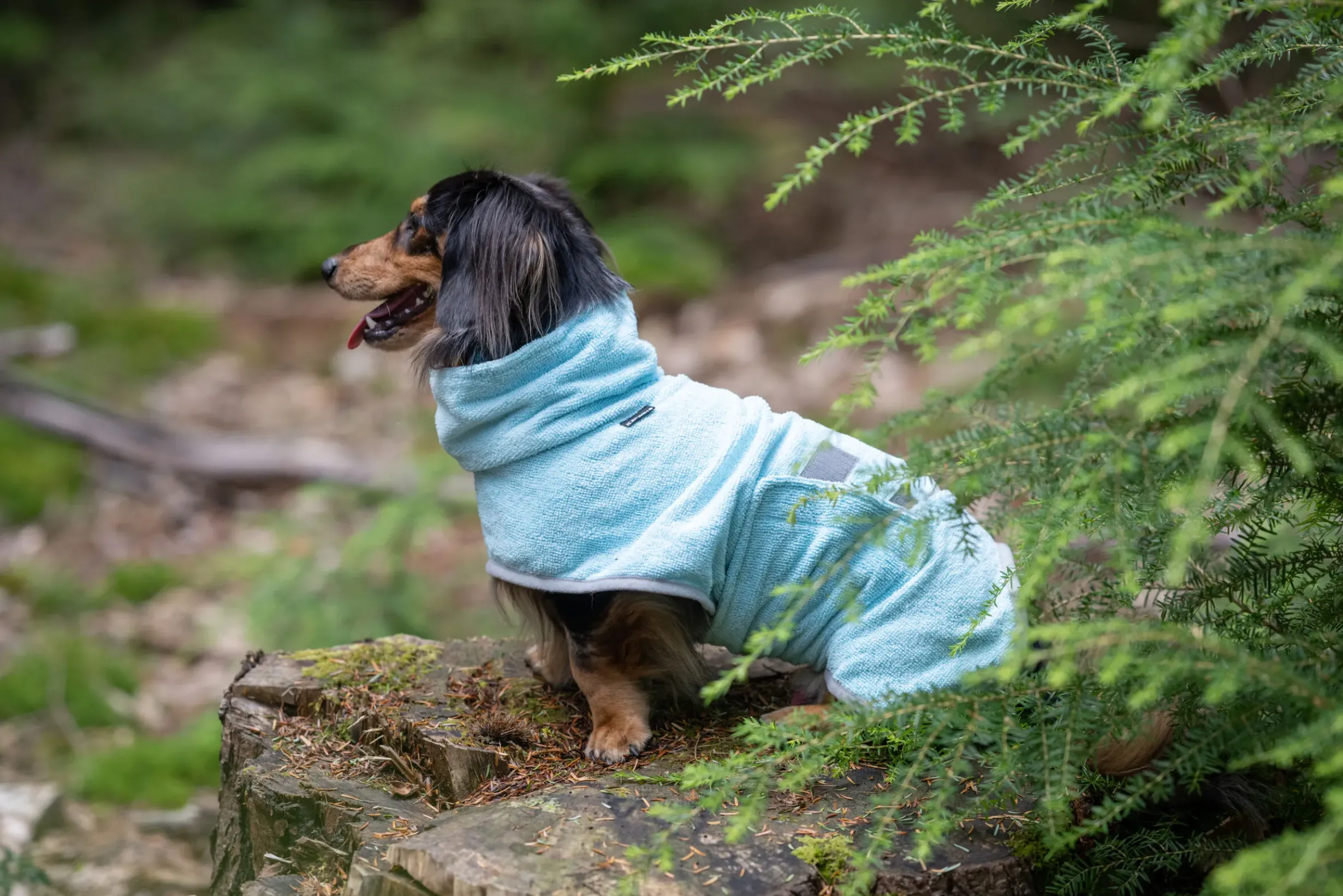 Hot ICEPEAK PET pah bathrobe