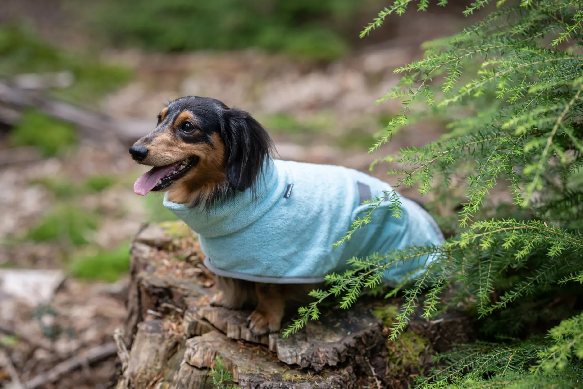 Hot ICEPEAK PET pah bathrobe