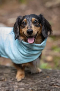 Hot ICEPEAK PET pah bathrobe