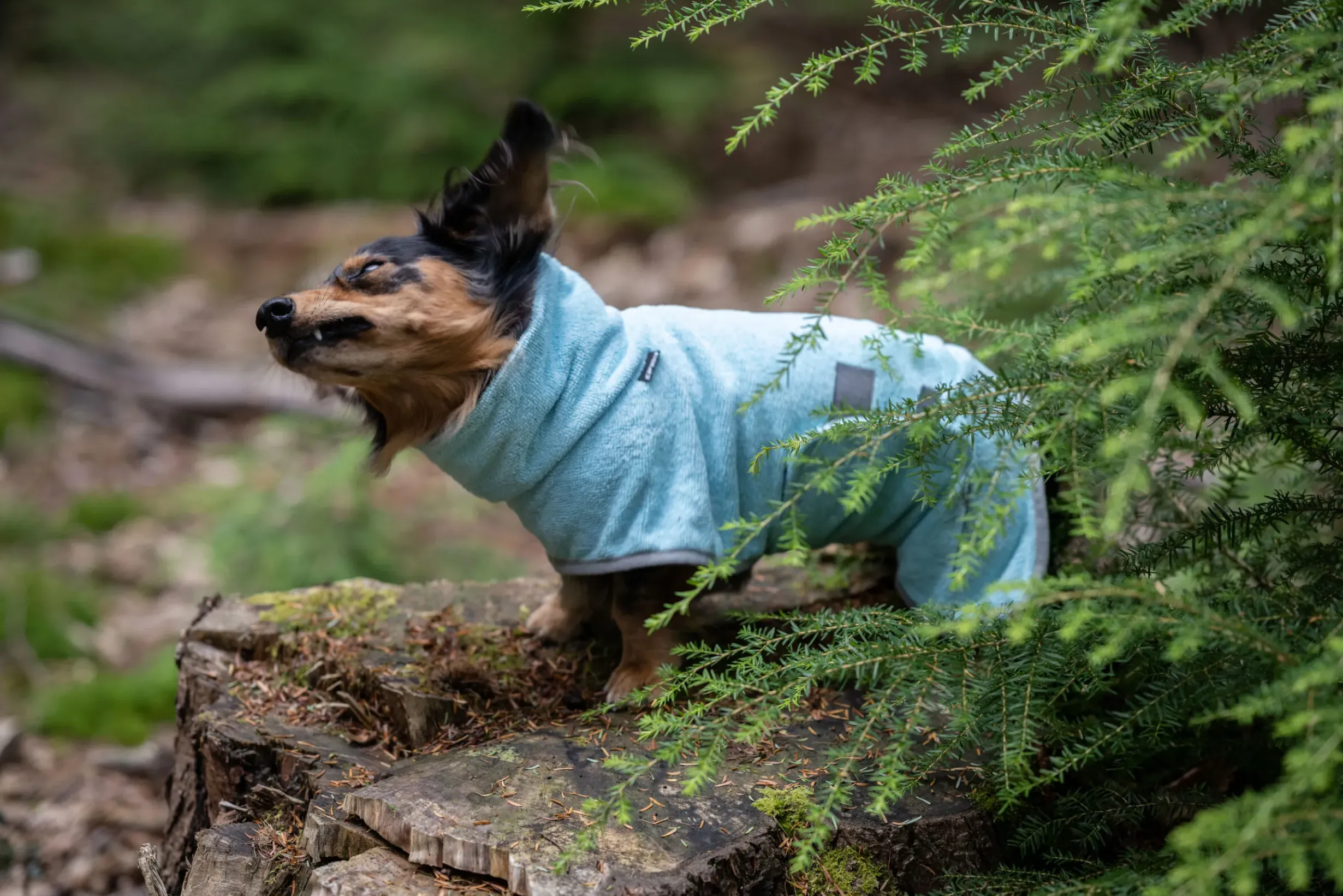Hot ICEPEAK PET pah bathrobe