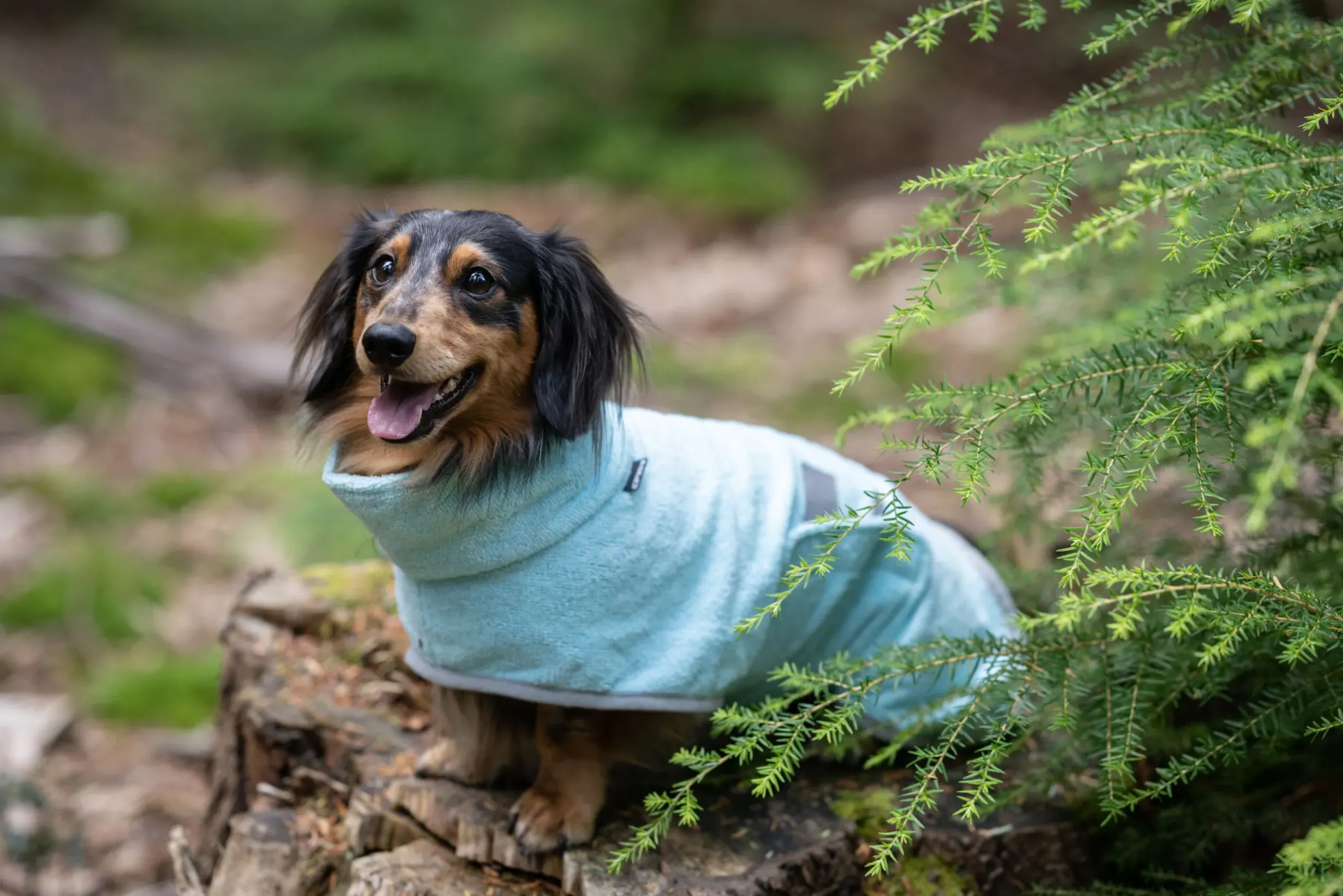 Hot ICEPEAK PET pah bathrobe