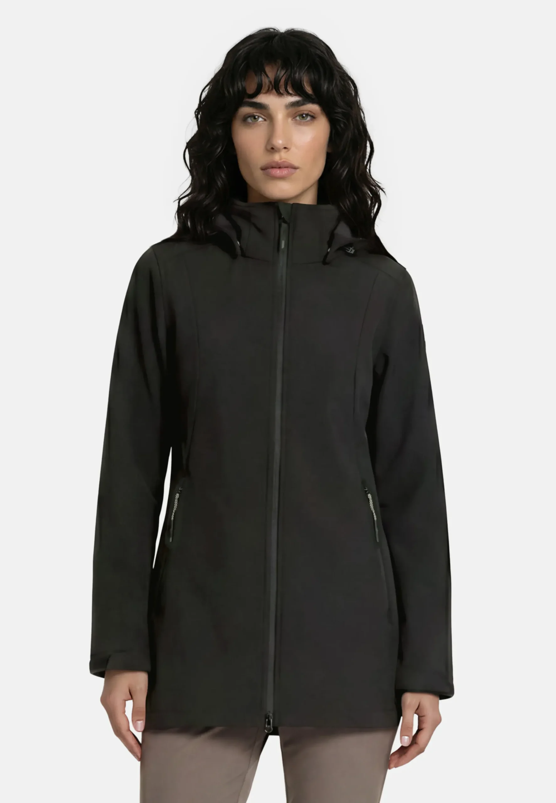 Online ICEPEAK Vanderbilt