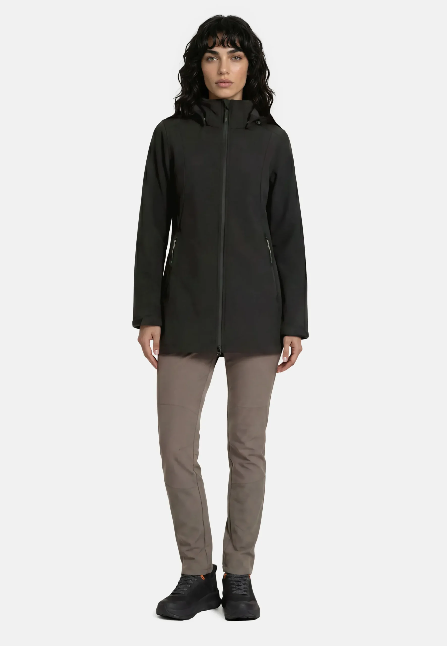 Online ICEPEAK Vanderbilt