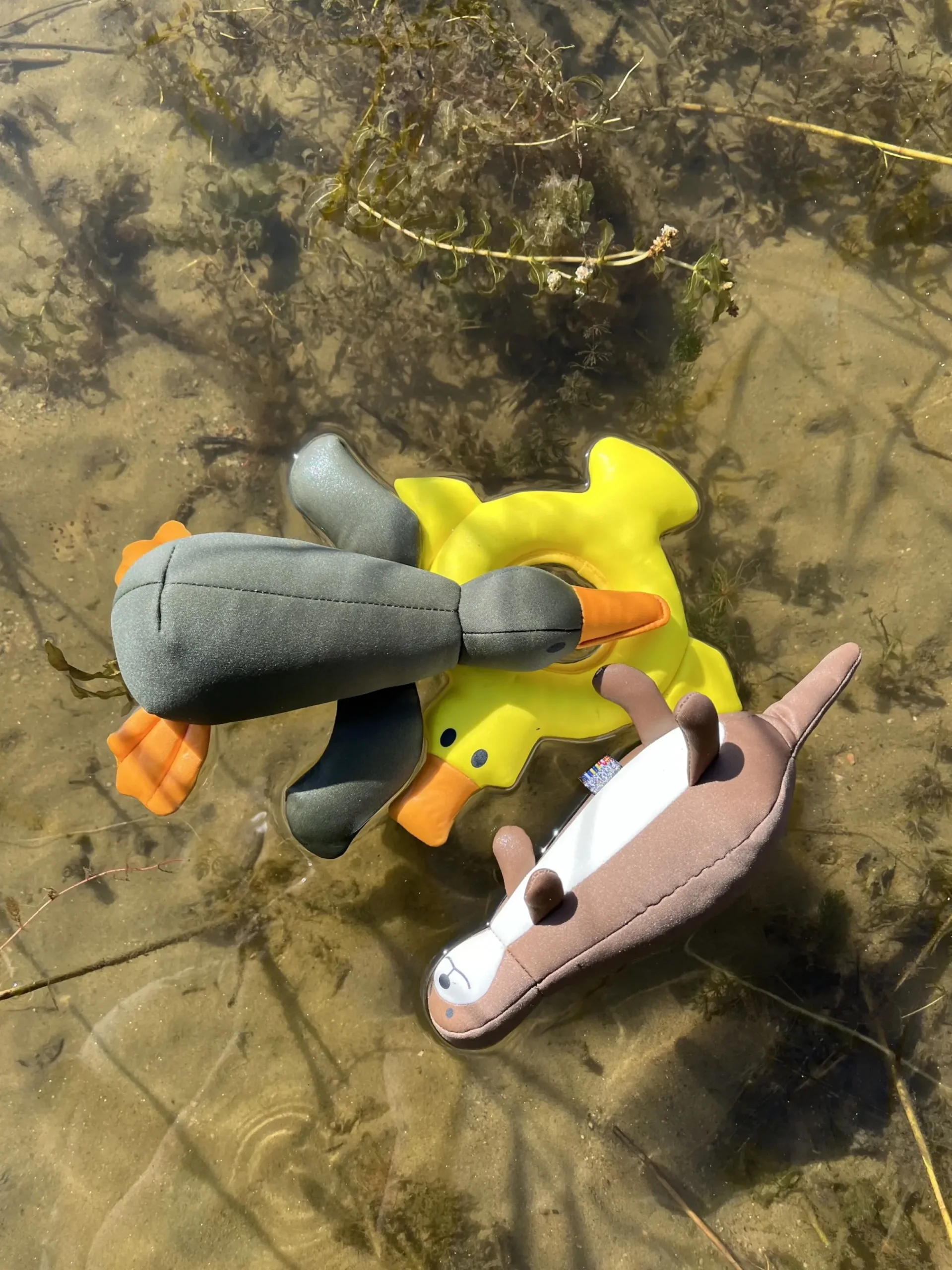 Sale RUKKA PETS Bird Floating Toy