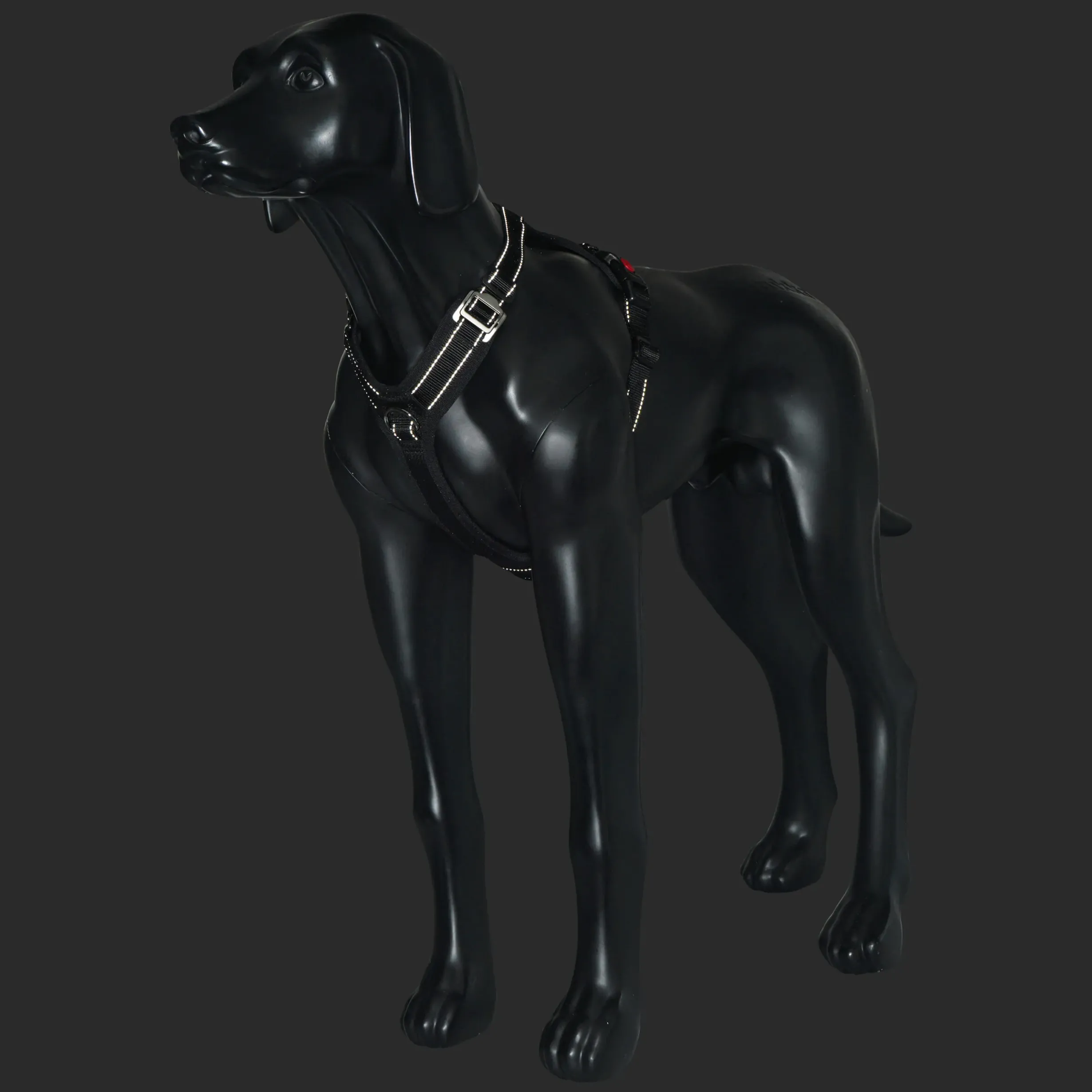 Outlet RUKKA PETS Bi Harne