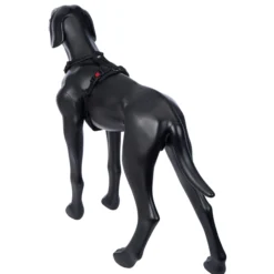 Outlet RUKKA PETS Bi Harne