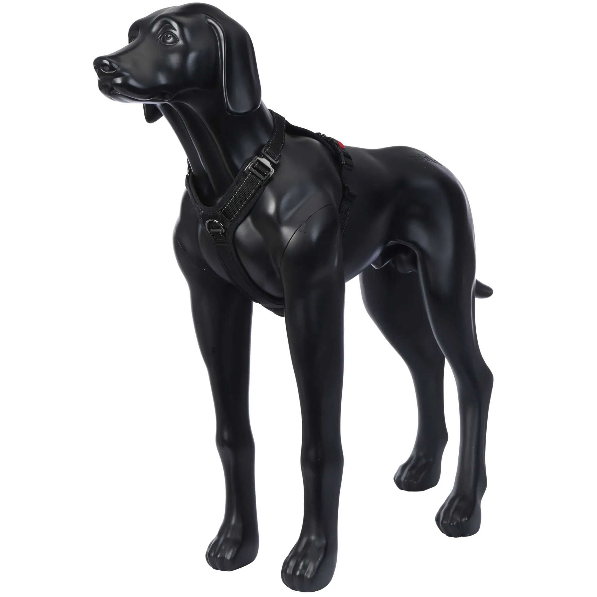 Outlet RUKKA PETS Bi Harne