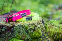 Sale RUKKA PETS Bi neon coar