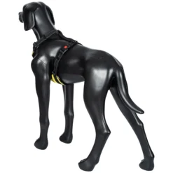 RUKKA PETS Bi x harne