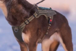 Sale RUKKA PETS Bi x trek Harne