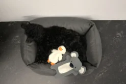 Outlet RUKKA PETS Calm Duck Toy