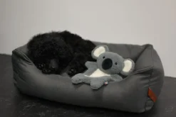 RUKKA PETS Calm Koala Toy