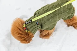 Sale RUKKA PETS Cheery tiny leah