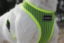 Sale RUKKA PETS Cofort air harne