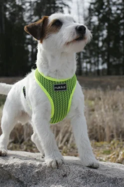 Sale RUKKA PETS Cofort air harne