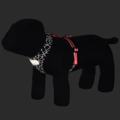 Outlet RUKKA PETS Cube ini harne