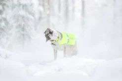 Outlet RUKKA PETS Fap viibe vet