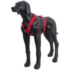 Discount RUKKA PETS For harne
