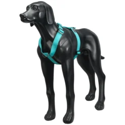 Discount RUKKA PETS For harne