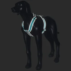 Discount RUKKA PETS For harne