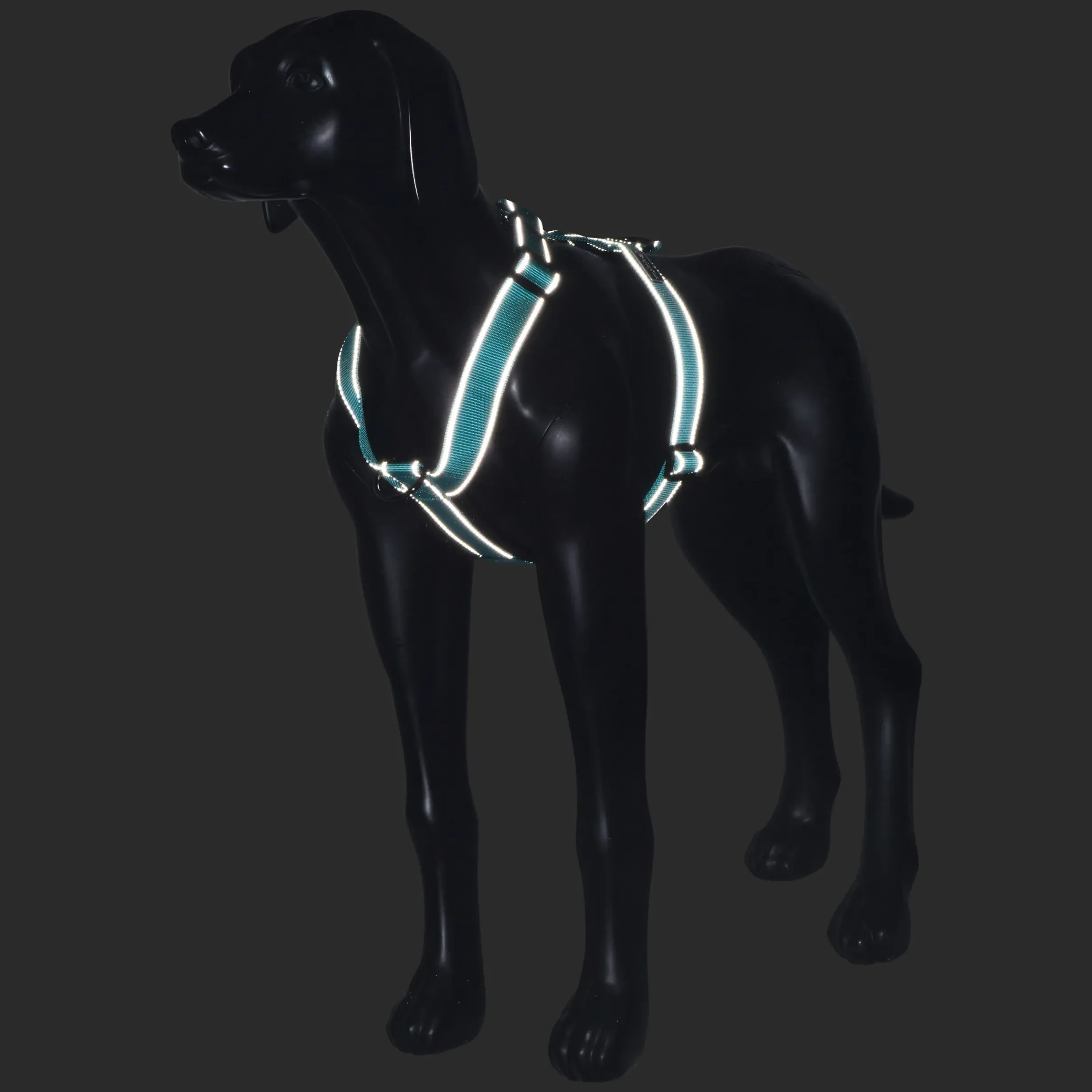 Discount RUKKA PETS For harne