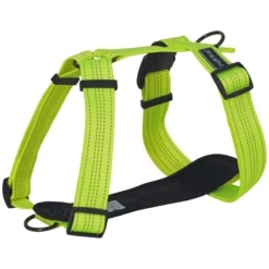 Online RUKKA PETS For neon harne