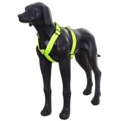 Online RUKKA PETS For neon harne
