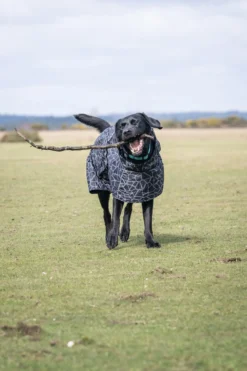 Hot RUKKA PETS Hayton warm raincoat