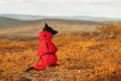 Online RUKKA PETS Hayton x raincoat