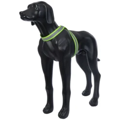 Outlet RUKKA PETS Note Body Band