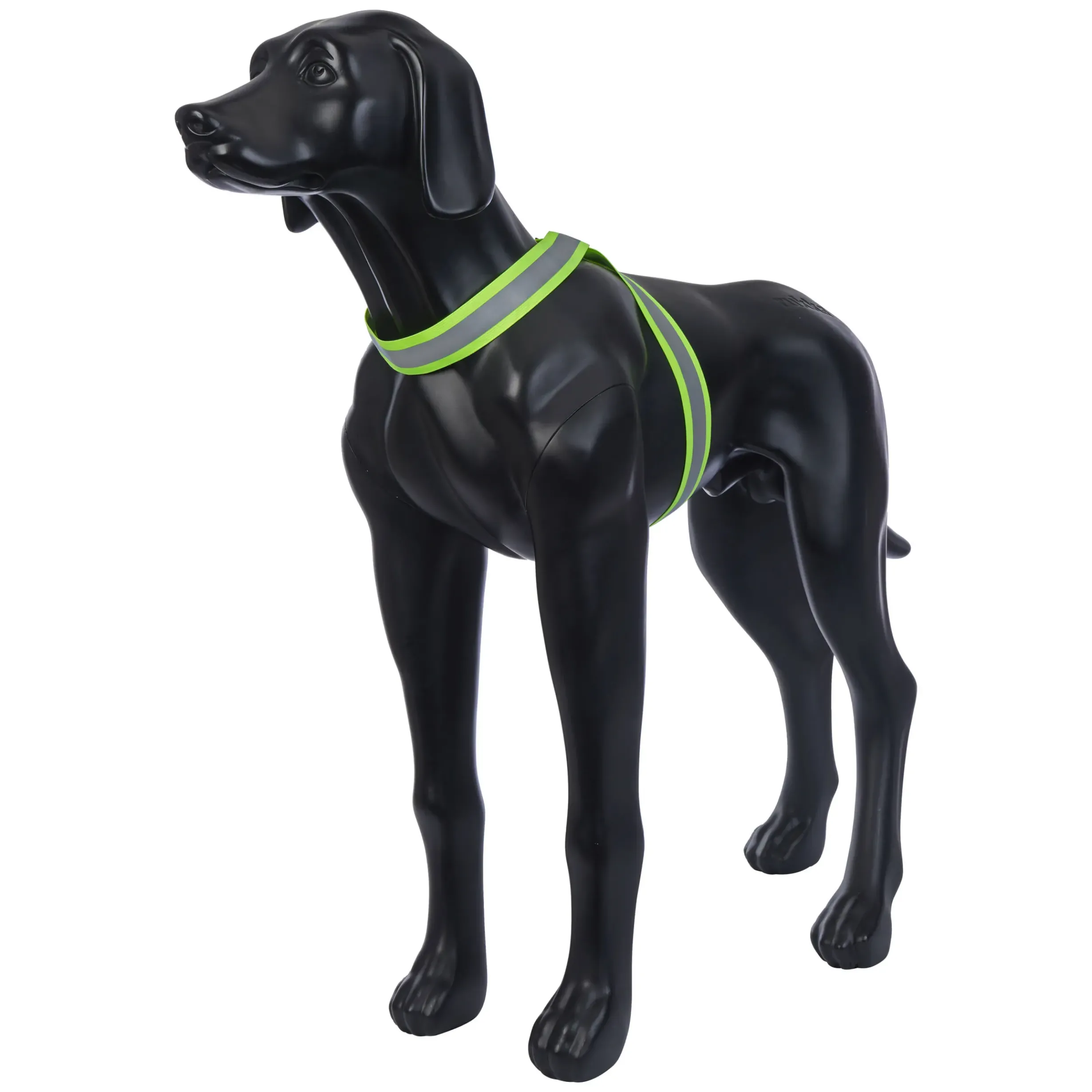 Outlet RUKKA PETS Note Body Band