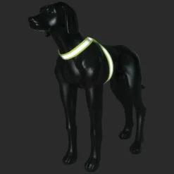 Outlet RUKKA PETS Note Body Band
