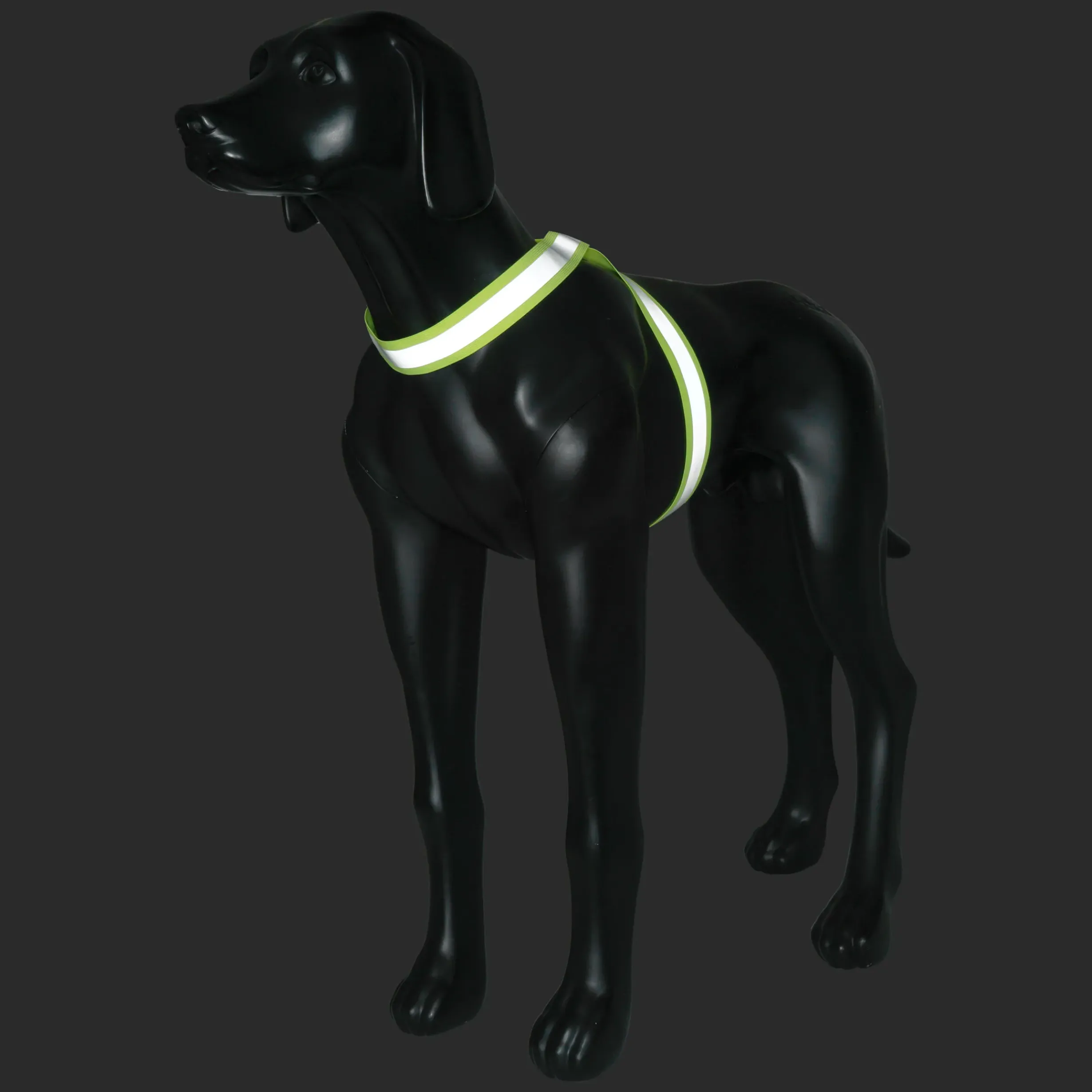 Outlet RUKKA PETS Note Body Band