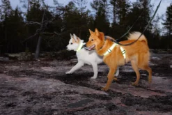 Hot RUKKA PETS Note Neck Band
