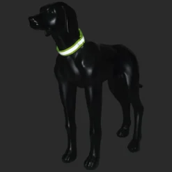 Hot RUKKA PETS Note Neck Band