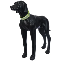 Hot RUKKA PETS Note Neck Band