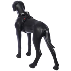 Best RUKKA PETS oid harne