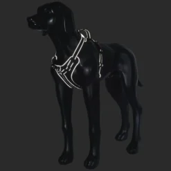 Best RUKKA PETS oid harne