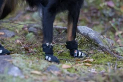 Hot RUKKA PETS Step shoes