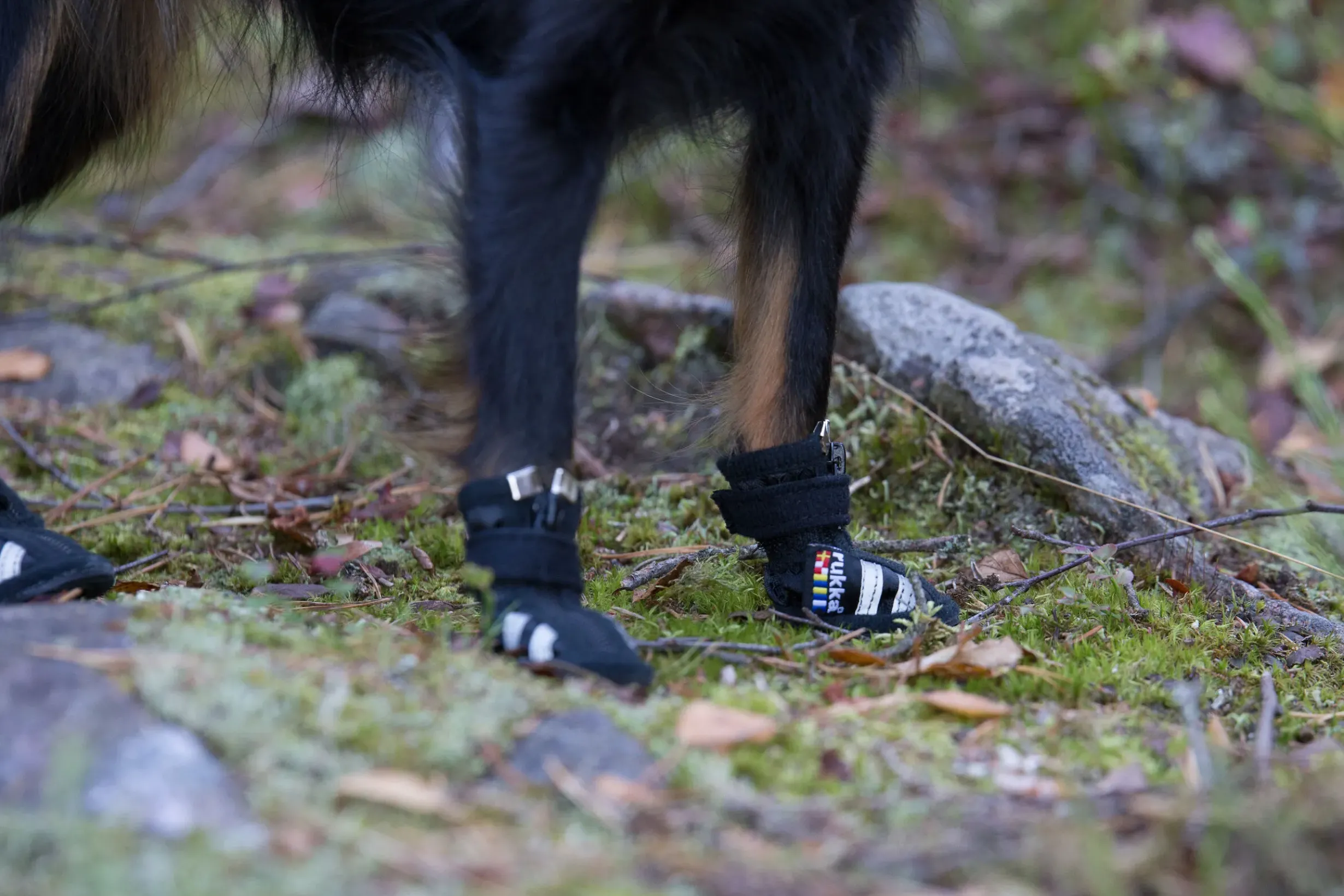 Hot RUKKA PETS Step shoes