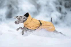 Hot RUKKA PETS Stormy coat