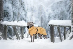 Hot RUKKA PETS Stormy coat